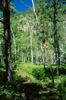 Trail photo